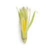 Organic Corn Bio (1Pc)