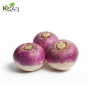 Turnip/Shaljum