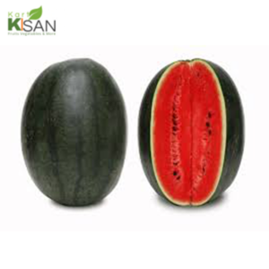 Watermelon - Green